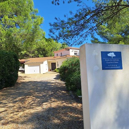 Studio D'Hotes Les Libellules Castelnau-le-Lez Exterior photo